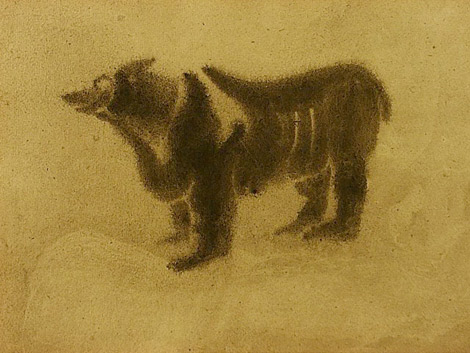 Bear