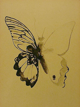 Butterfly