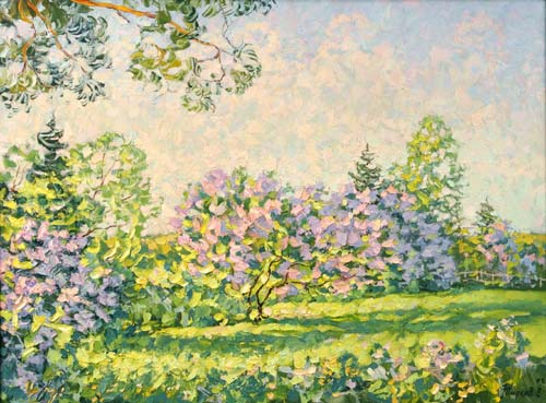 Lilac evening