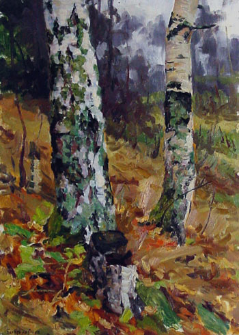 Birch trees