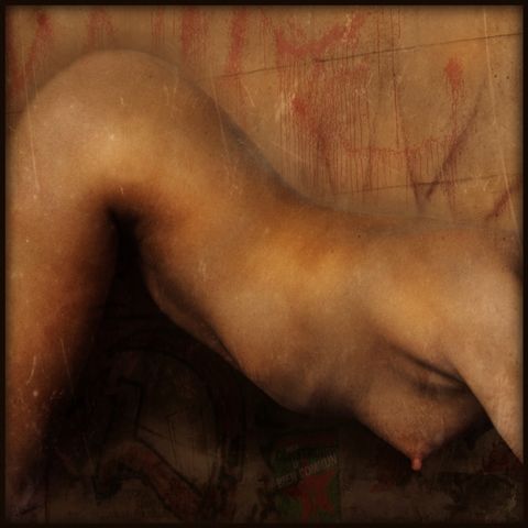   "TORSO"-9