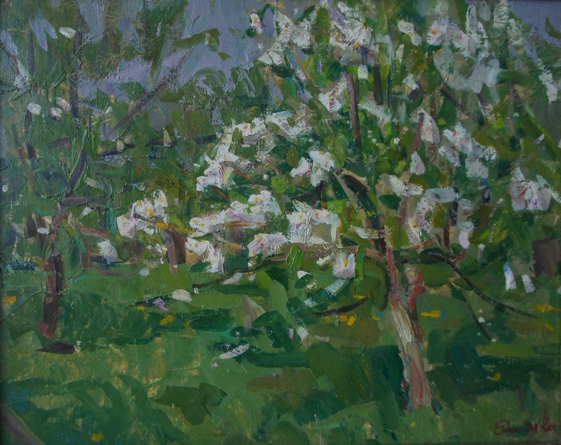 Blooming garden